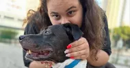 avatar petsitter
