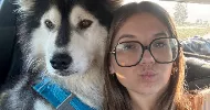 avatar petsitter