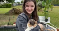 avatar petsitter