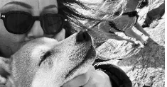 avatar petsitter