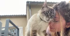 avatar petsitter