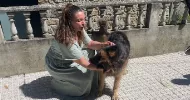 avatar petsitter