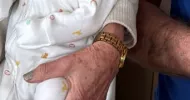 avatar petsitter