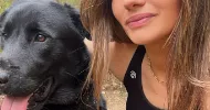avatar petsitter