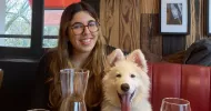 avatar petsitter