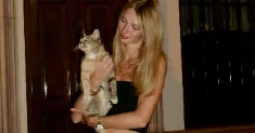 avatar petsitter