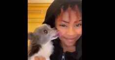 avatar petsitter