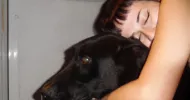 avatar petsitter