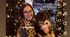 avatar petsitter