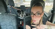avatar petsitter