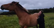 avatar petsitter