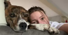 avatar petsitter