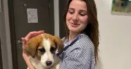avatar petsitter
