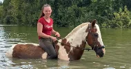 avatar petsitter