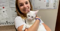 avatar petsitter