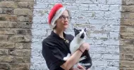 avatar petsitter
