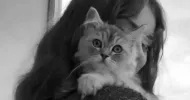 avatar petsitter