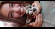 avatar petsitter