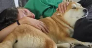 avatar petsitter