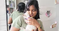 avatar petsitter