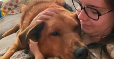 avatar petsitter