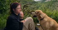 avatar petsitter