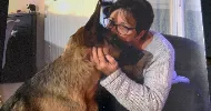 avatar petsitter
