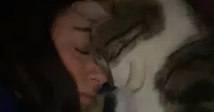 avatar petsitter