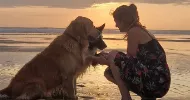 avatar petsitter