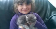 avatar petsitter