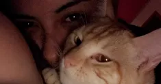 avatar petsitter