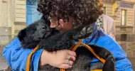 avatar petsitter