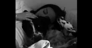 avatar petsitter