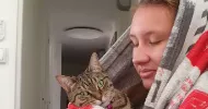 avatar petsitter