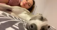 avatar petsitter