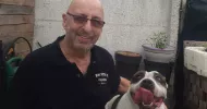 avatar petsitter