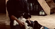 avatar petsitter