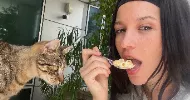 avatar petsitter