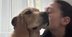 avatar petsitter