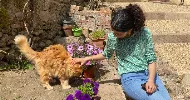 avatar petsitter