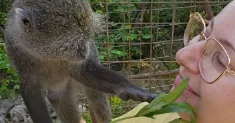 avatar petsitter