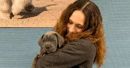 avatar petsitter