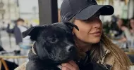avatar petsitter