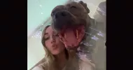 avatar petsitter