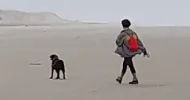 avatar petsitter