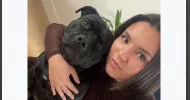 avatar petsitter