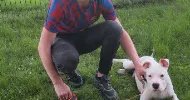 avatar petsitter