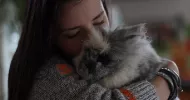 avatar petsitter