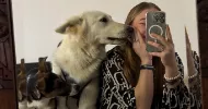 avatar petsitter