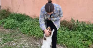 avatar petsitter